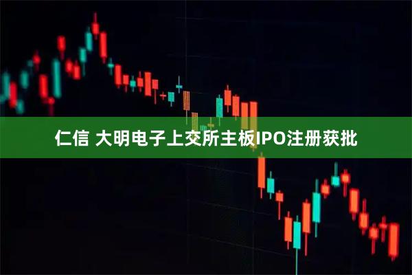 仁信 大明电子上交所主板IPO注册获批