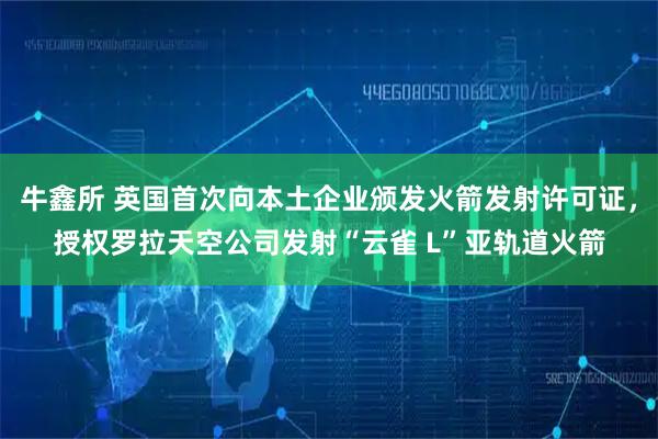 牛鑫所 英国首次向本土企业颁发火箭发射许可证，授权罗拉天空公司发射“云雀 L”亚轨道火箭