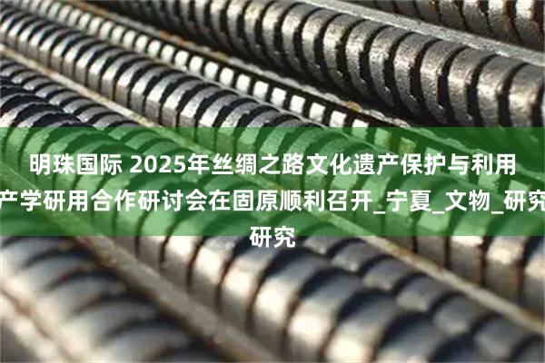 明珠国际 2025年丝绸之路文化遗产保护与利用产学研用合作研讨会在固原顺利召开_宁夏_文物_研究
