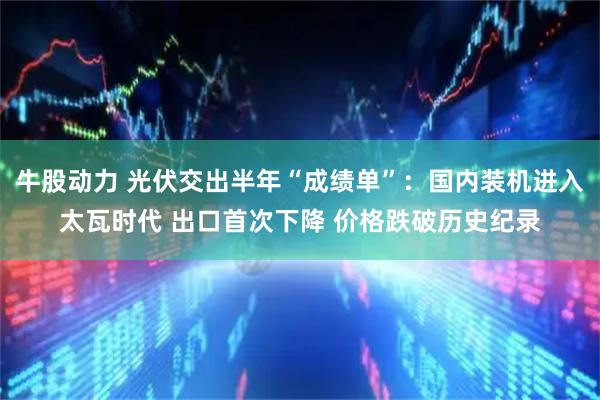 牛股动力 光伏交出半年“成绩单”:国内装机进入太瓦时代 出口首次下降 价格跌破历史纪录