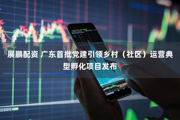 展鵬配资 广东首批党建引领乡村（社区）运营典型孵化项目发布