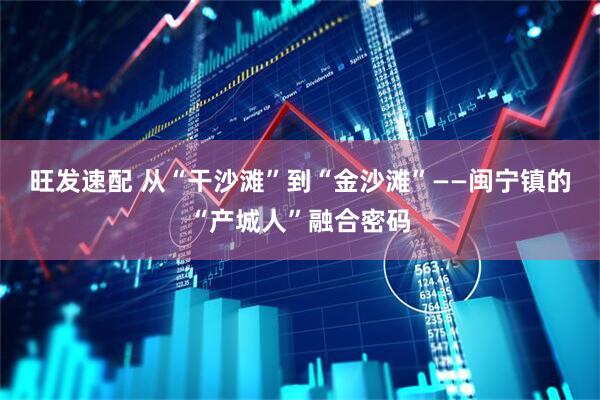 旺发速配 从“干沙滩”到“金沙滩”——闽宁镇的“产城人”融合密码